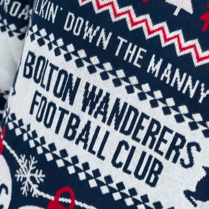 2024 Christmas Jumper Adult