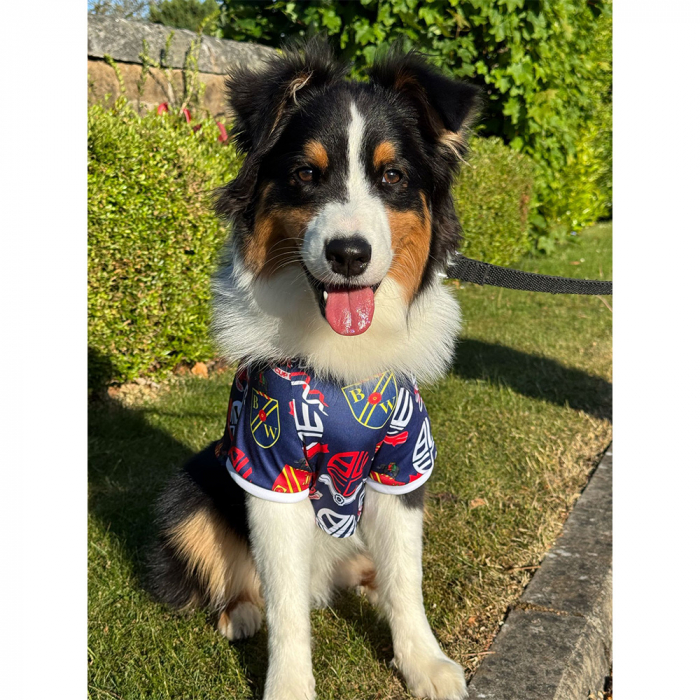 Badge Dog Shirt