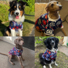 Badge Dog Shirt
