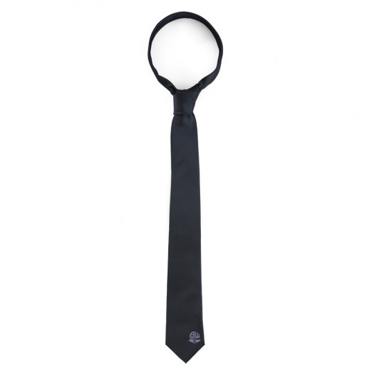 CLOTHING ACCESSORIES : Ties
