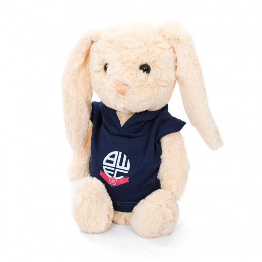Bunny Soft Toy