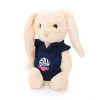 Bunny Soft Toy
