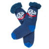 Crest Slipper Socks
