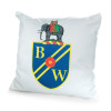 50s Square Cushion