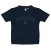 Avro T 