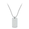 Stainless Steel Dog Tag and Chain