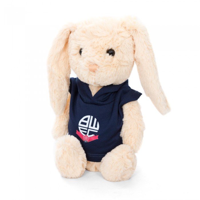Bunny Soft Toy