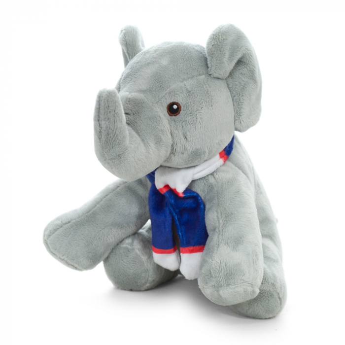 Elephant with Scarf